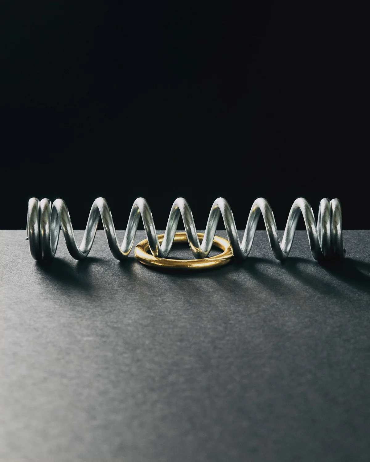 Ring & Spring Puzzle