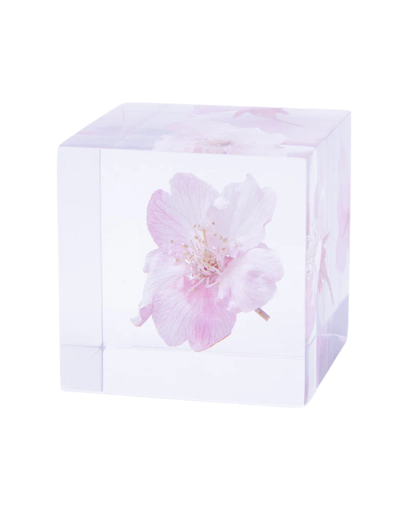 Sakura Sola Cube